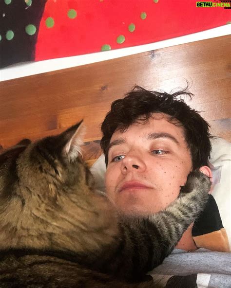 Asa Butterfield Wiki, Biography, Age, Gallery, Spouse and more