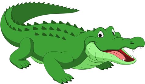 Крокодилы | Ilustraciones de cocodrilos, Cocodrilo animado, Dibujar ...