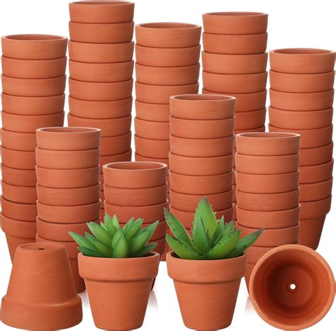 Amazon.com: Sliner 150 Pcs Small Clay Pots 2 Inch Terracotta Plant Pots ...