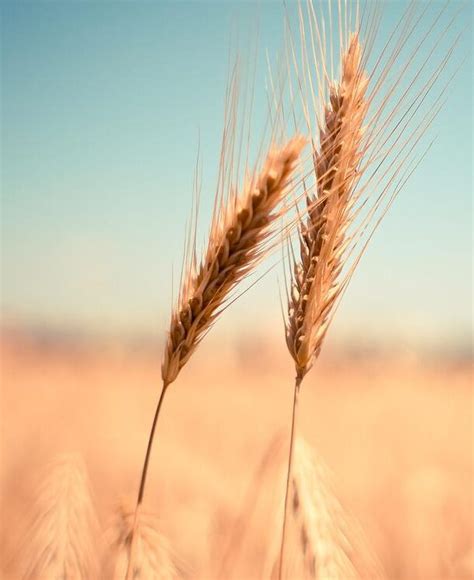 Натур Продукт | Онлайн-журнал об экологичной жизни
