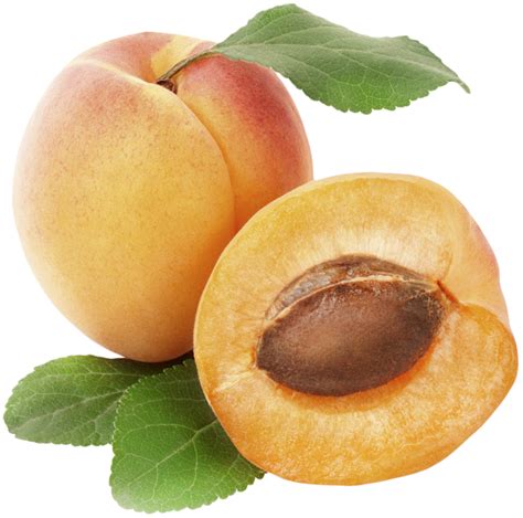 Apricots with green leaves PNG transparent image download, size: 809x802px