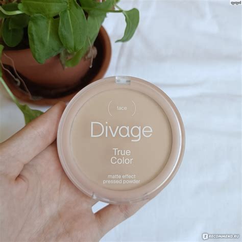 Пудра компактная DIVAGE True Color matte effect - «Матирующий эффект от ...
