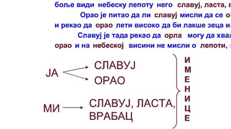 ЗАМЕНИЦЕ (ПОЈАМ И ЗНАЧЕЊЕ) - YouTube