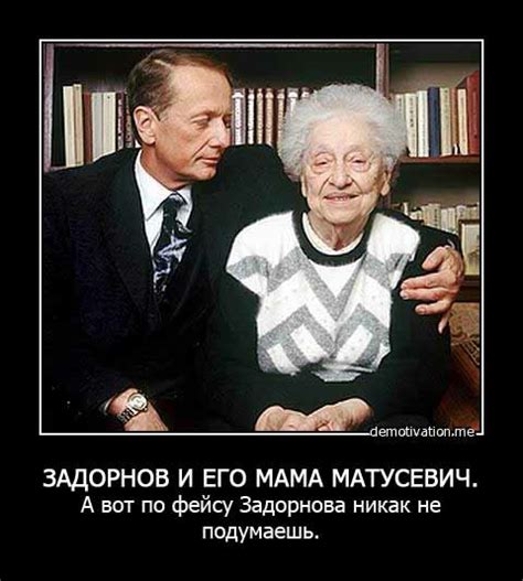 Весь Жванецкий Фильм Бесплатно скачать - yourcinemaproduct