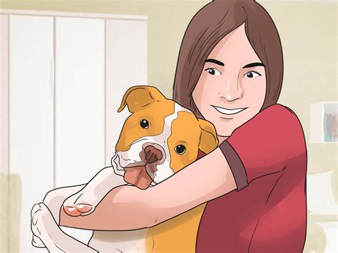 care   english bulldog  pictures wikihow