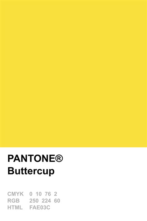 Pantone 2016 Buttercup | Pantone color, Pantone, Yellow pantone