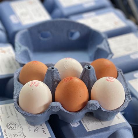 Organic Eggs - Sandy Lane Farm - Sandy Lane Farm