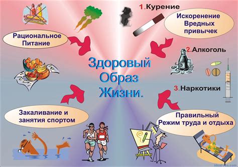 Здоровый образ жизни (ЗОЖ) и его составляющие