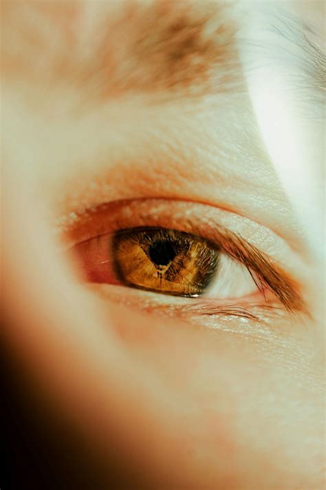 human       human  stock