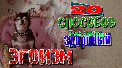 20 способов развить здоровый эгоизм - YouTube