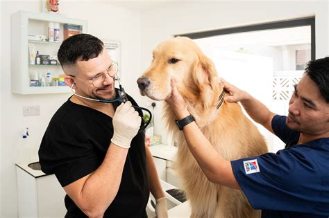 Down Syndrome in Dogs: Can Dogs Get It?