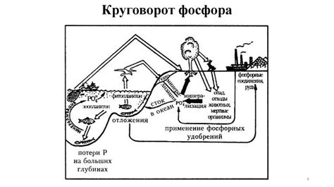 Сельскохозяйственная и ветеринарная микробиология - презентация онлайн
