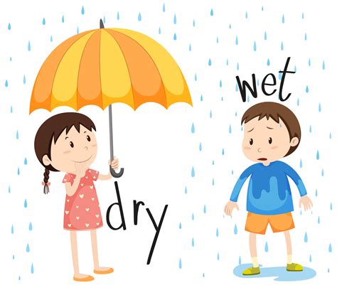 Wet And Dry Activities For Preschoolers at Christine Hibbler blog