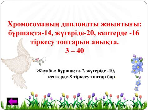 Гендердің толық жиынтығы - презентация онлайн