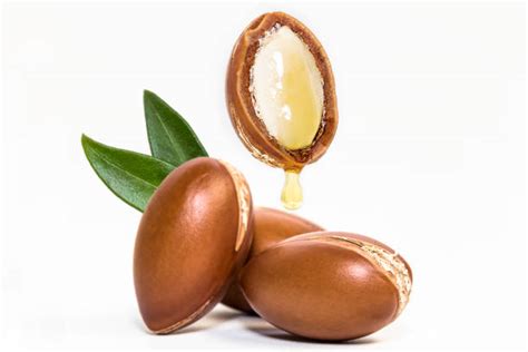 44,300+ Golden Nuts Stock Photos, Pictures & Royalty-Free Images - iStock