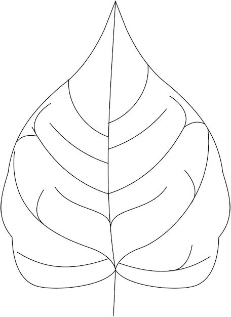 Premium Vector | Banyan tree leaf vector icon black and white