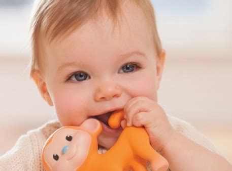 У ребенка режутся зубы: советы родителям – Развитие ребенка