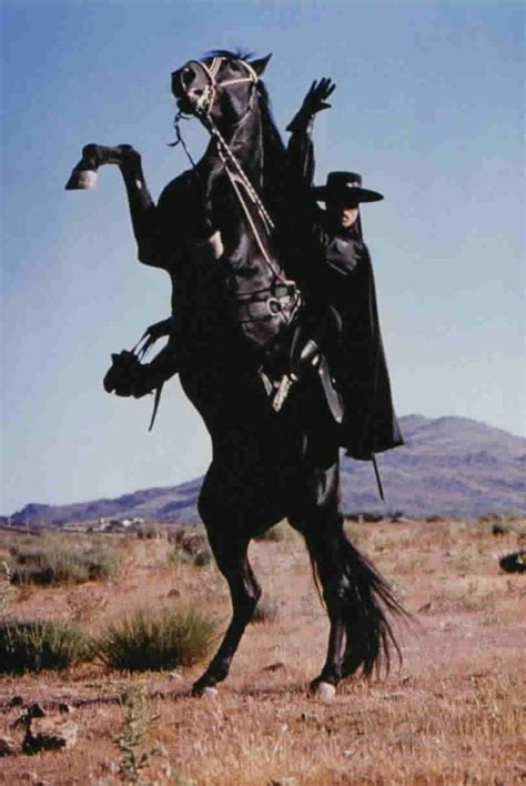 Torronado is Zorro's Horse Wallpaper | Wallpaper ME