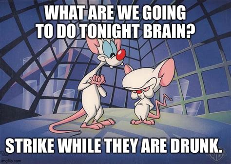 pinky and the brain - Imgflip