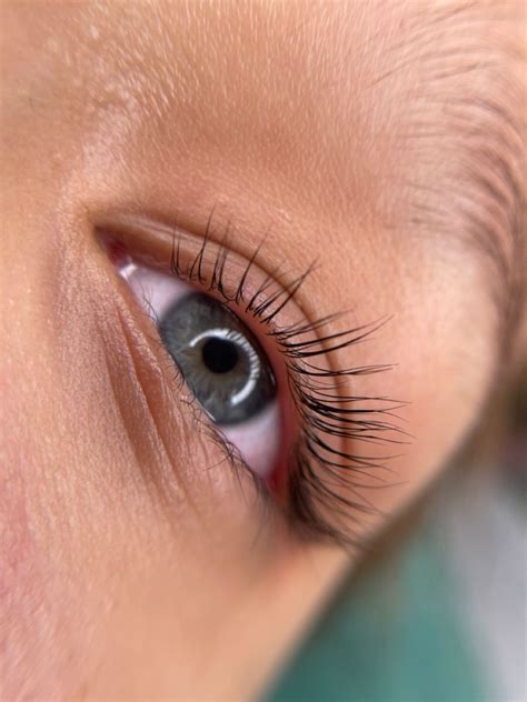 Ламинирование ресниц eyelash lamination Brows, Lashes, Eyebrows, Eye ...