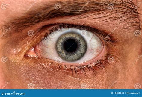 Shot Of Scared Man Eye Stock Photography | CartoonDealer.com #18451544