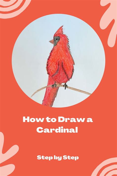 How to Draw a Cardinal Easy Step-By-Step Instructions - basicdraw.com