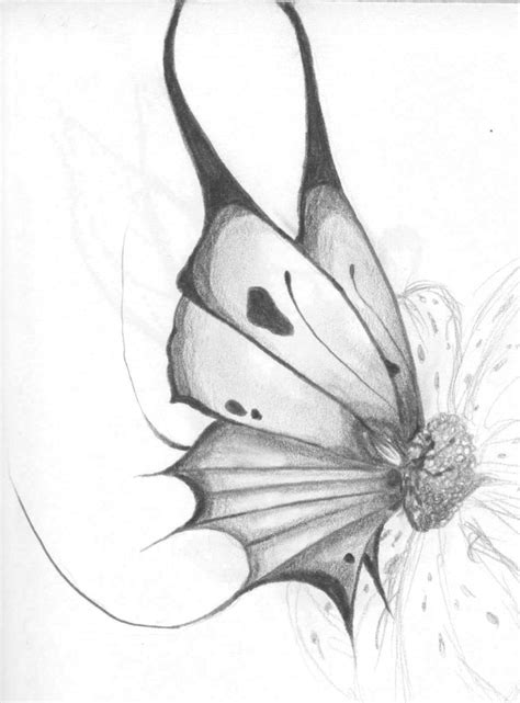 Butterfly On Flower Sketch at PaintingValley.com | Explore collection ...