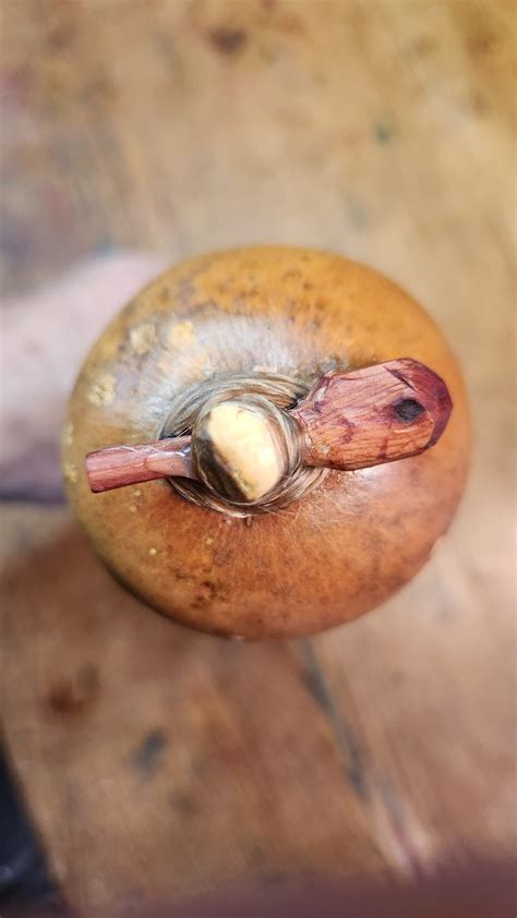 Grandmother Cedar & tiny Cedar dowels - Aumdoc's Rattlehead