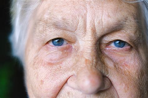 theory  optimal aging  life aging