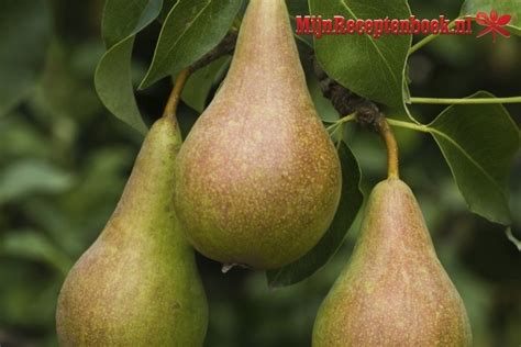Perentaart Recept
