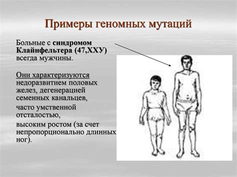 Методы изучения наследственности человека - презентация онлайн