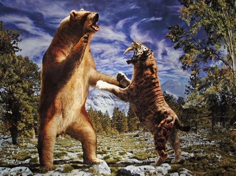 Короткомордый медведь: masterok — LiveJournal