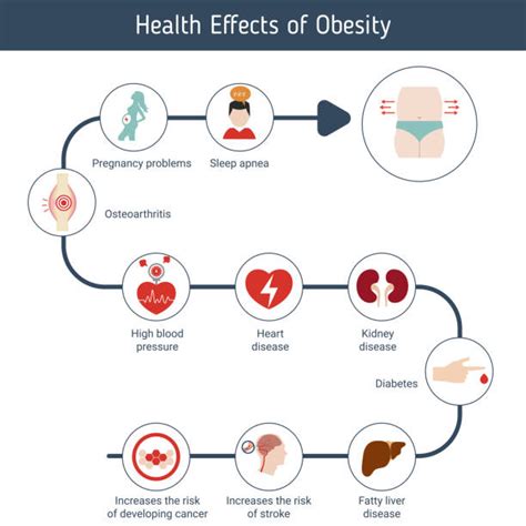 Royalty Free Metabolism Clip Art, Vector Images & Illustrations - iStock