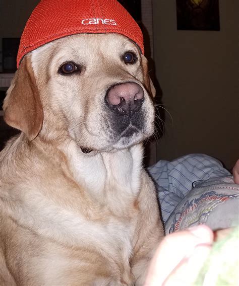 Pasco Sheriff's Office - Home | Facebook