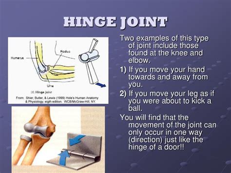 PPT - “MOVING THROUGH EXERCISE SCIENCE” PowerPoint Presentation - ID ...