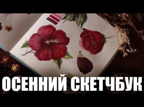 ОБЗОР ОСЕННЕГО СКЕТЧБУКА - YouTube