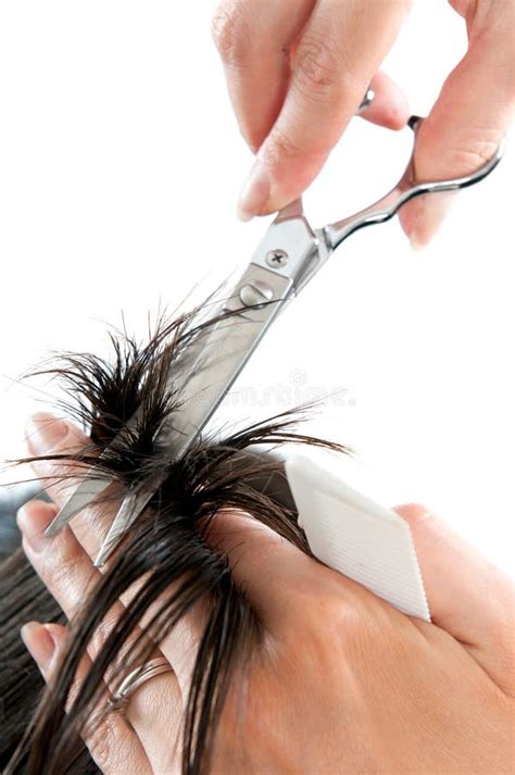 Hair cutting with scissors stock photo. Image of female - 21862216