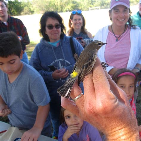 Activities Calendar - Things to do outdoors near me - Delaware Nature