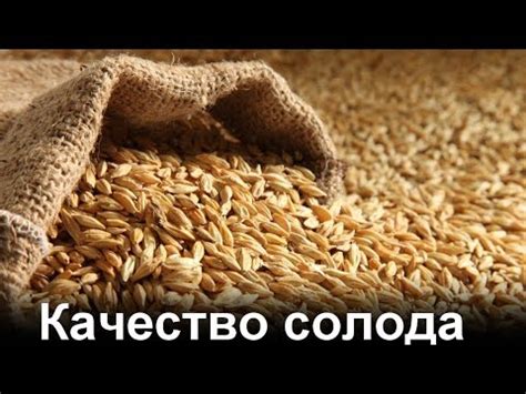 Качество солода - YouTube