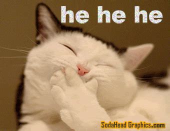 Hehehe Funny Gecko Laugh GIF | GIFDB.com