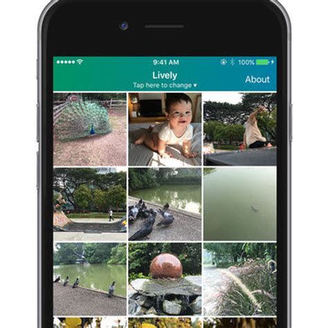 lively alternatives  similar apps alternativetonet