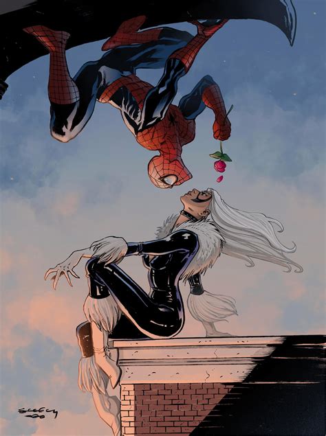 Spiderman Vs Black Cat