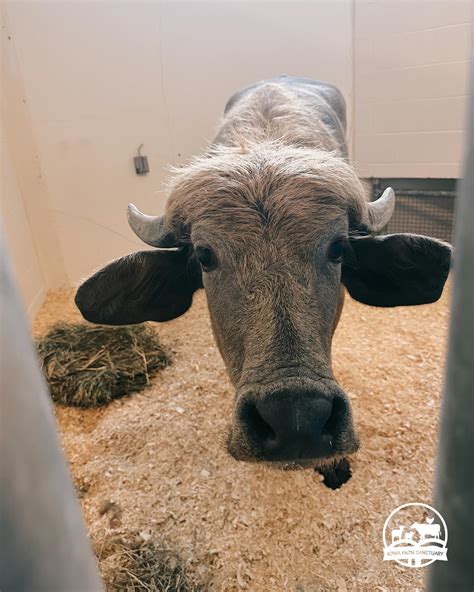 Families are praising the compassionate care at Ames Iowa funeral homes 32