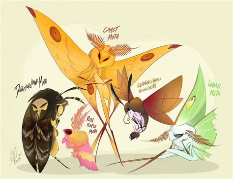 Moths by VivzMind on deviantART | Moth art, Cute moth, Character art
