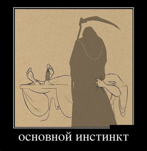 Демотиваторы-29