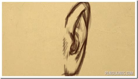 how to draw an ear from the front