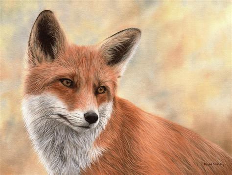 Cute animals by Elza Bester DeJager | Fox painting, Fox art