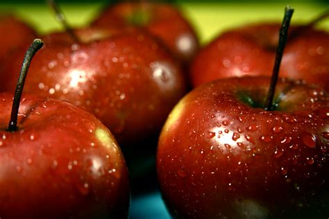 Free picture: apples, fresh, fruits, water, droplets