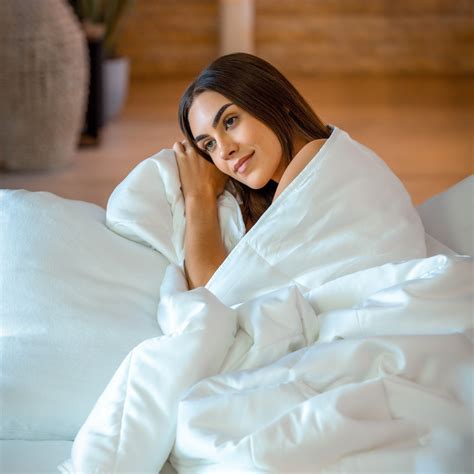 Huntington Home Temperature Regulating Down Alt Comforter 6