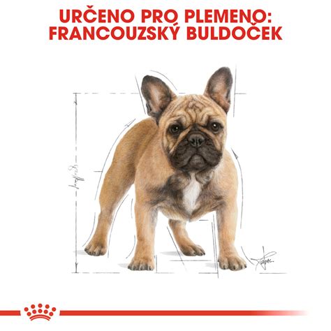 Royal Canin Dog Adult French Bulldog - 1,5kg - Krmeni.cz